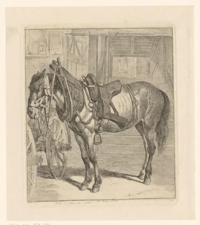Paard met paardentuig