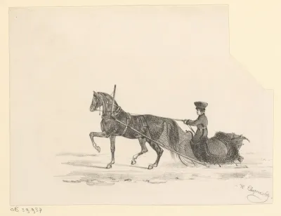 Paard met slede