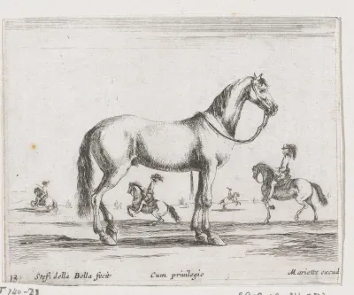 Paard met teugel om