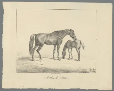 Paard met veulen