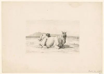 Paard met veulen in een weiland