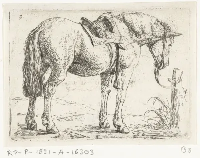 Paard met zadel