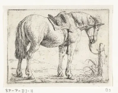 Paard met zadel