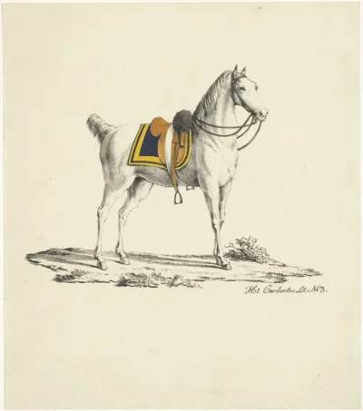 Paard met zadel en hoofdstel
