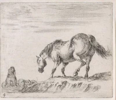 Paard op een heuvel
