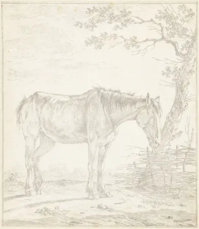 Paard, staande bij een boom