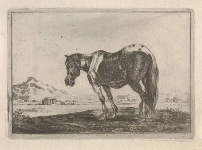 Paard staande in een landschap
