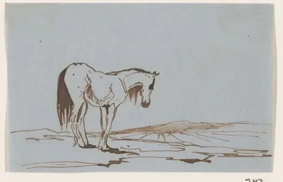Paard staande in het veld
