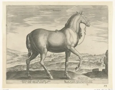 Paard uit Albanië