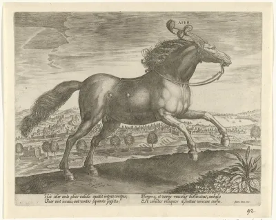 Paard uit Arabië