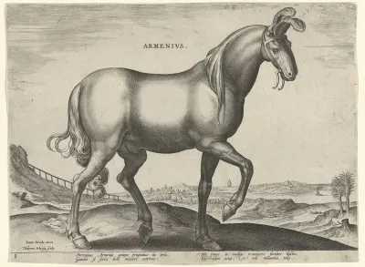 Paard uit Armenië (Armenius)