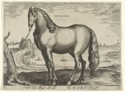 Paard uit Bretagne (Brittanus)