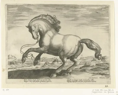 Paard uit Denemarken (Danus)