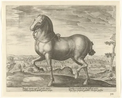 Paard uit Engeland