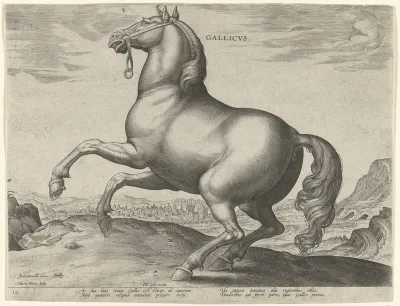Paard uit Frankrijk (Gallicus)