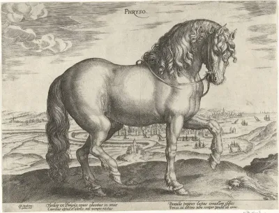 Paard uit Friesland