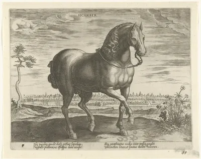 Paard uit Gelre