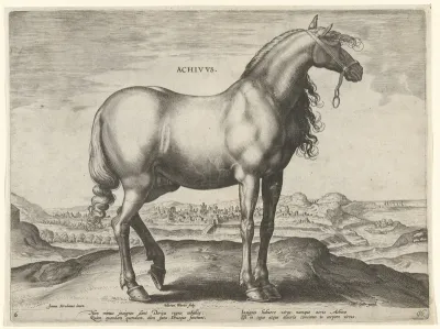 Paard uit Griekenland (Achivus)
