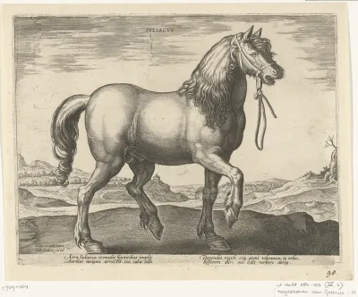 Paard uit Gulik (Juliacus)