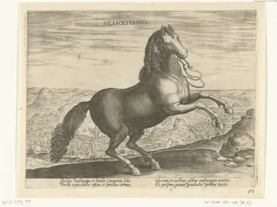 Paard uit Napels