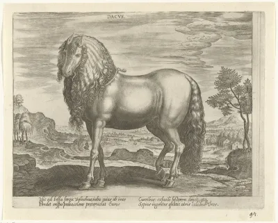 Paard uit Roemenië (Dacus)