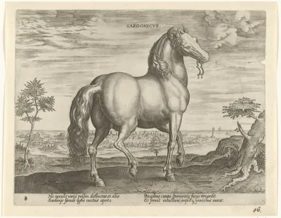 Paard uit Sardinië