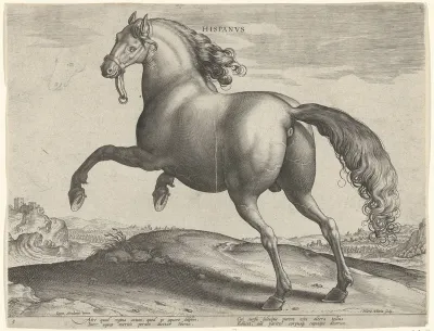 Paard uit Spanje (Hispanus Alter)