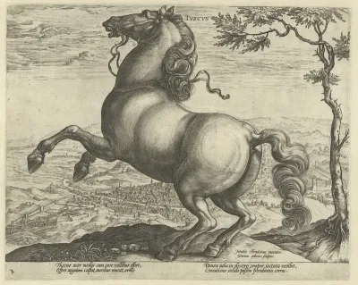 Paard uit Toscane