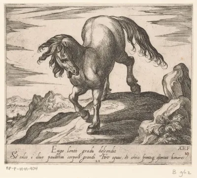 Paard van een heuveltje aflopend, van voren gezien