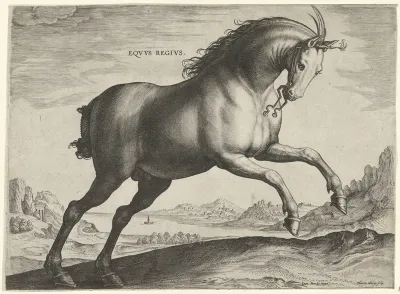 Paard van het ras Equus Regius (de Koninklijke)