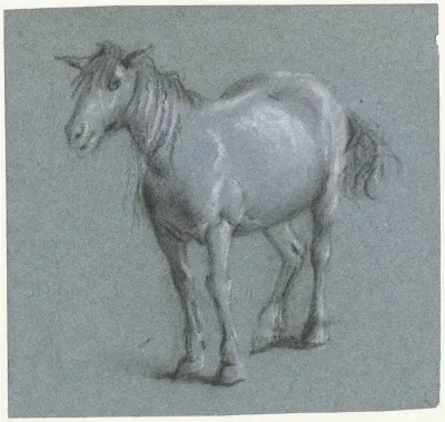 Paard van voren