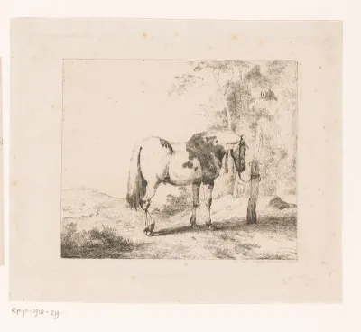 Paard vastgebonden aan een paal in het landschap
