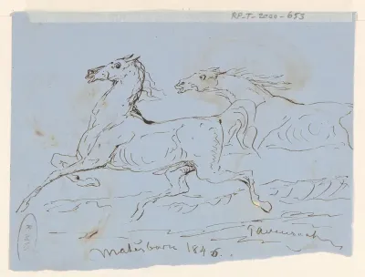 Paarden