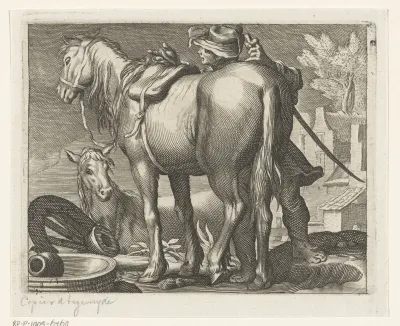 Paarden