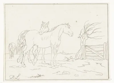 Paarden
