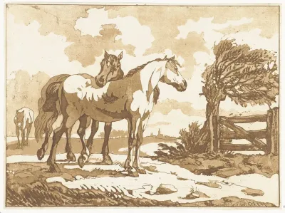 Paarden