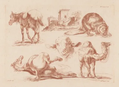 Paarden, bever, lam en kameel