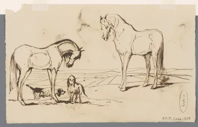 Paarden en honden