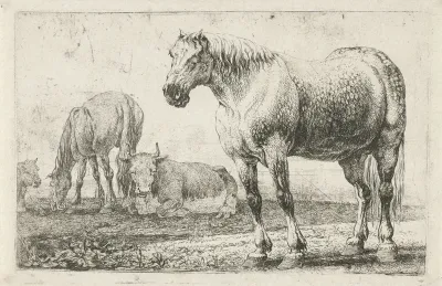Paarden en koeien