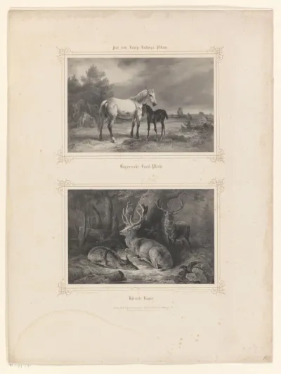 Paarden in een weide en herten in een bos