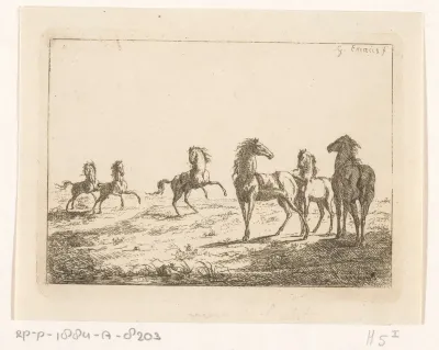 Paarden in vrijheid