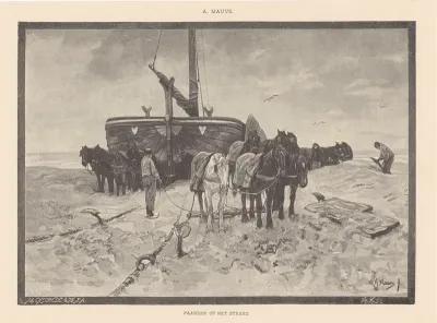 Paarden op het strand