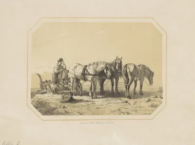 Paarden voor een ploeg