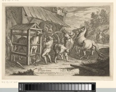 Paarden worden aan de tanden behandeld