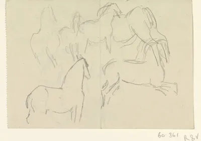 Paarden
