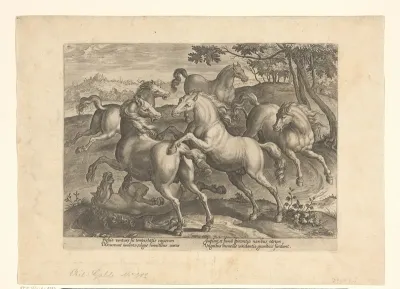 Paardengevecht