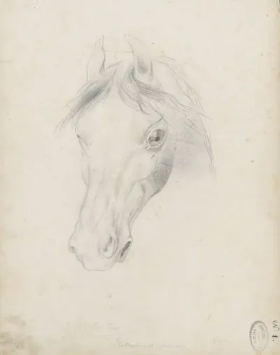 Paardenhoofd