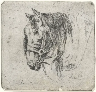 Paardenhoofd