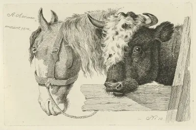 Paardenhoofd en stierenkop