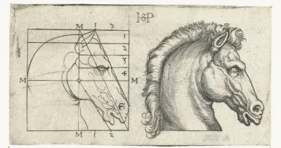 Paardenhoofd en tekening in schema volgens proportieleer